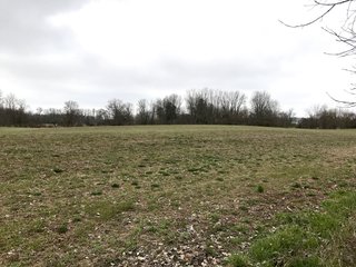 Property photo 21 - LAND AUCTION - 156.63+/- ACRES OFFERED IN 7 TRACTS IN ALLEN COUNTY, INDIANA